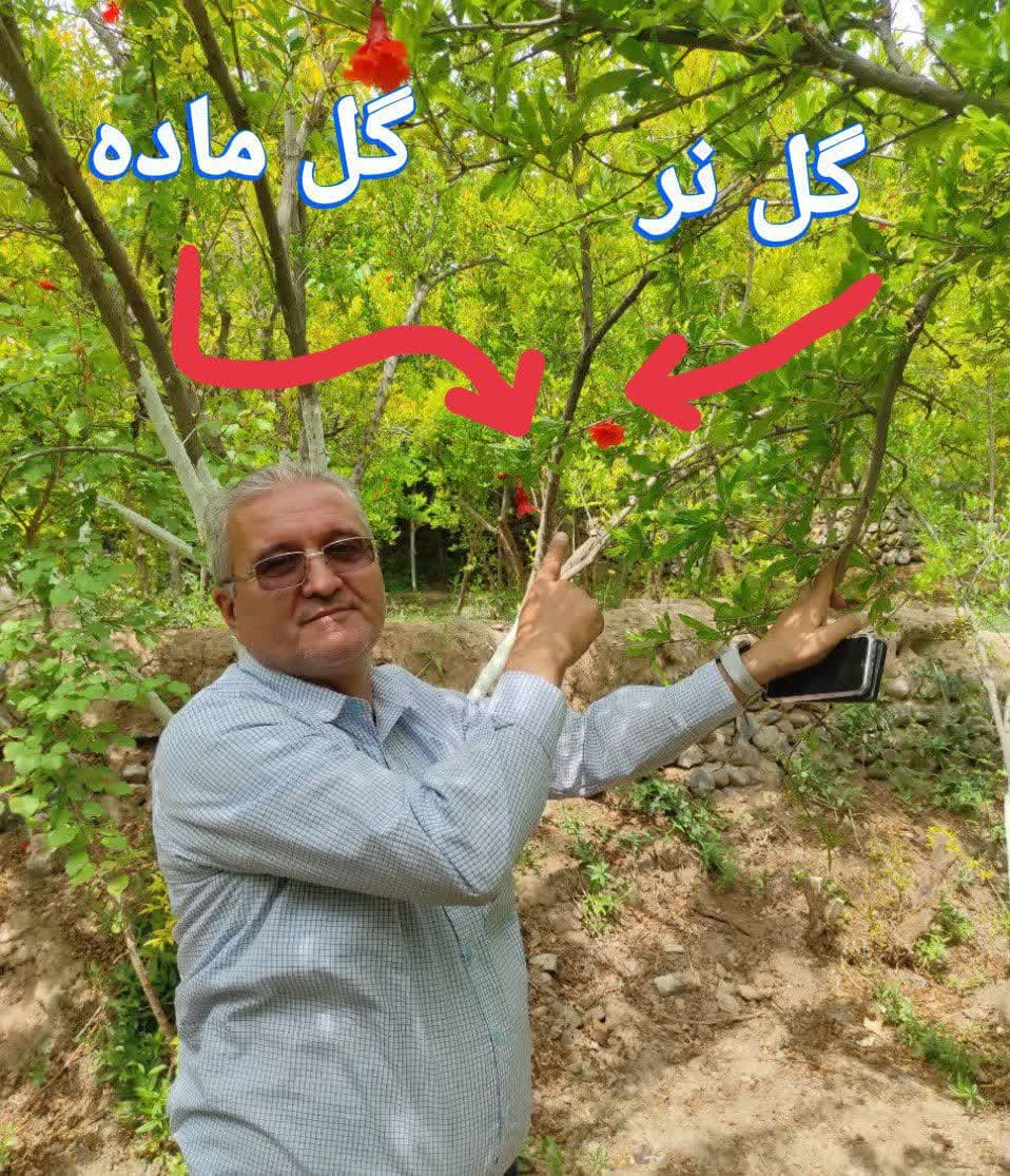 بازدیدها'
                            alt=